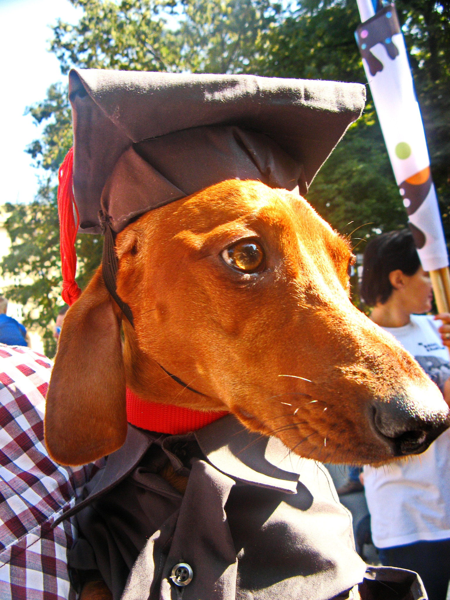 Canon POWERSHOT A710 IS sample photo. Graduate photography