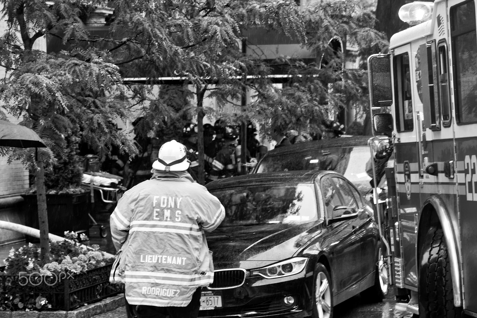 Minolta AF 28-135mm F4-4.5 sample photo. Intervention on park ave photography