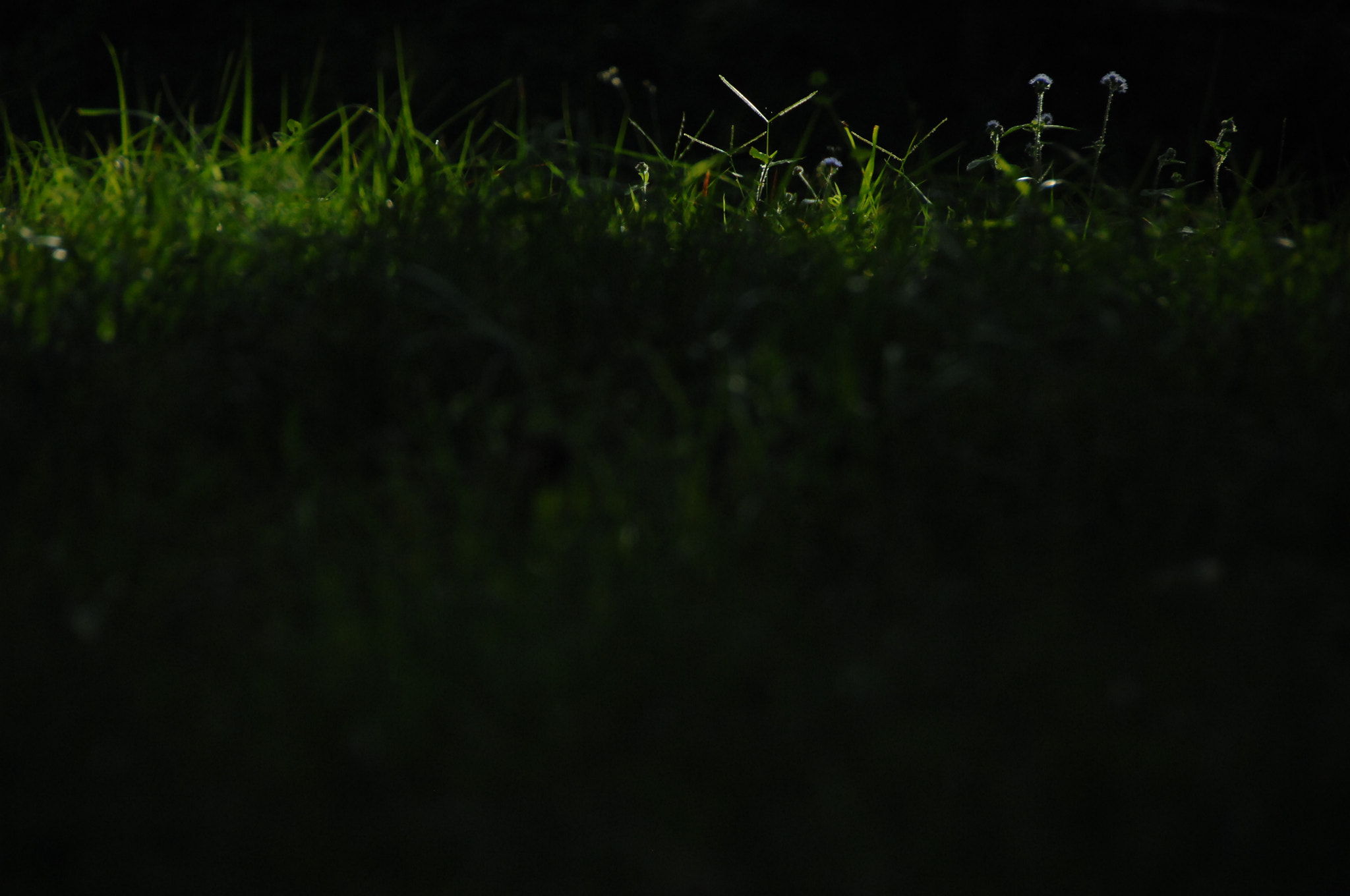 Nikon D2X sample photo. .. photography