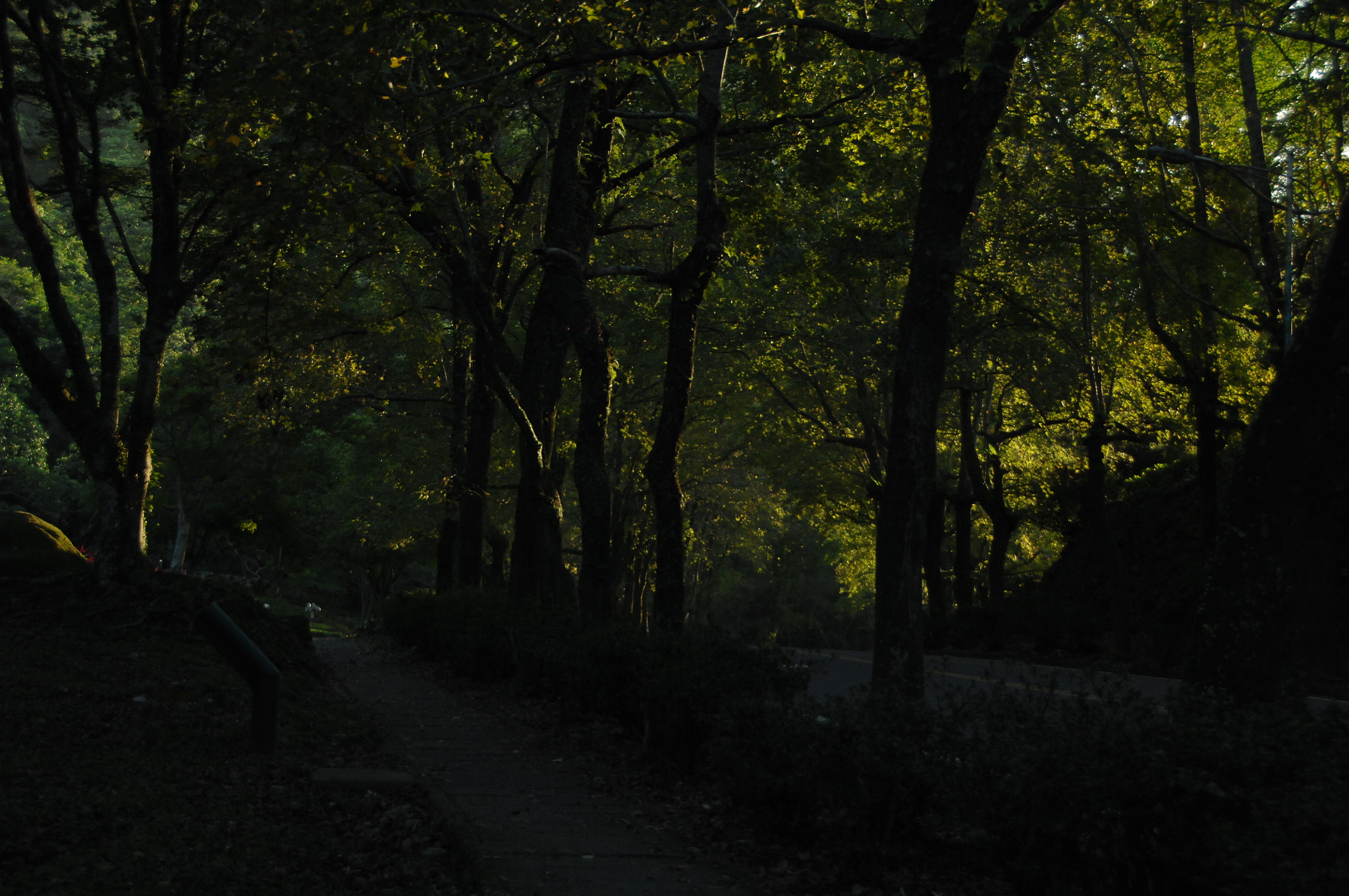 Nikon D2X sample photo. .. photography