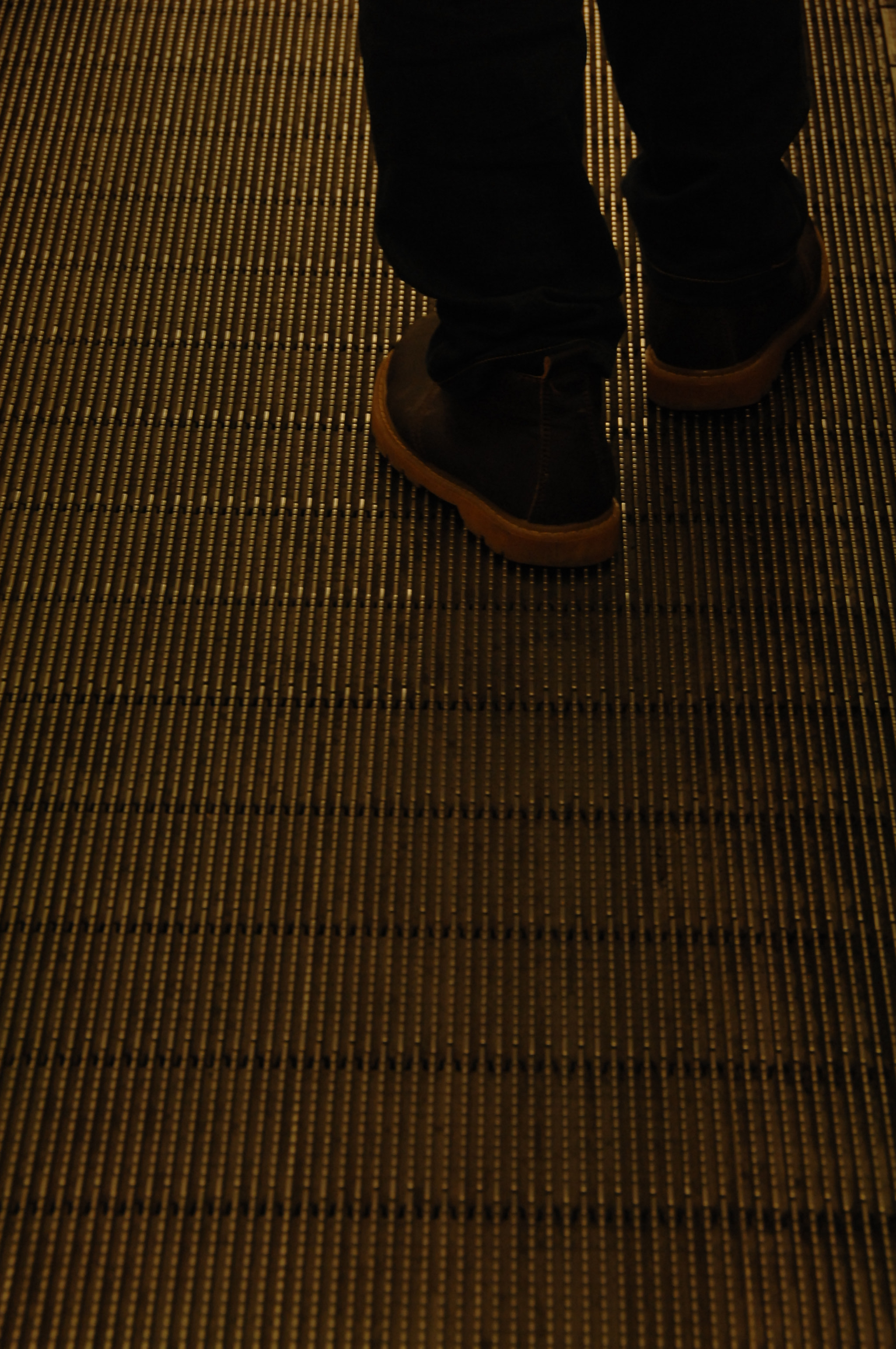 Nikon D2X sample photo. .. photography