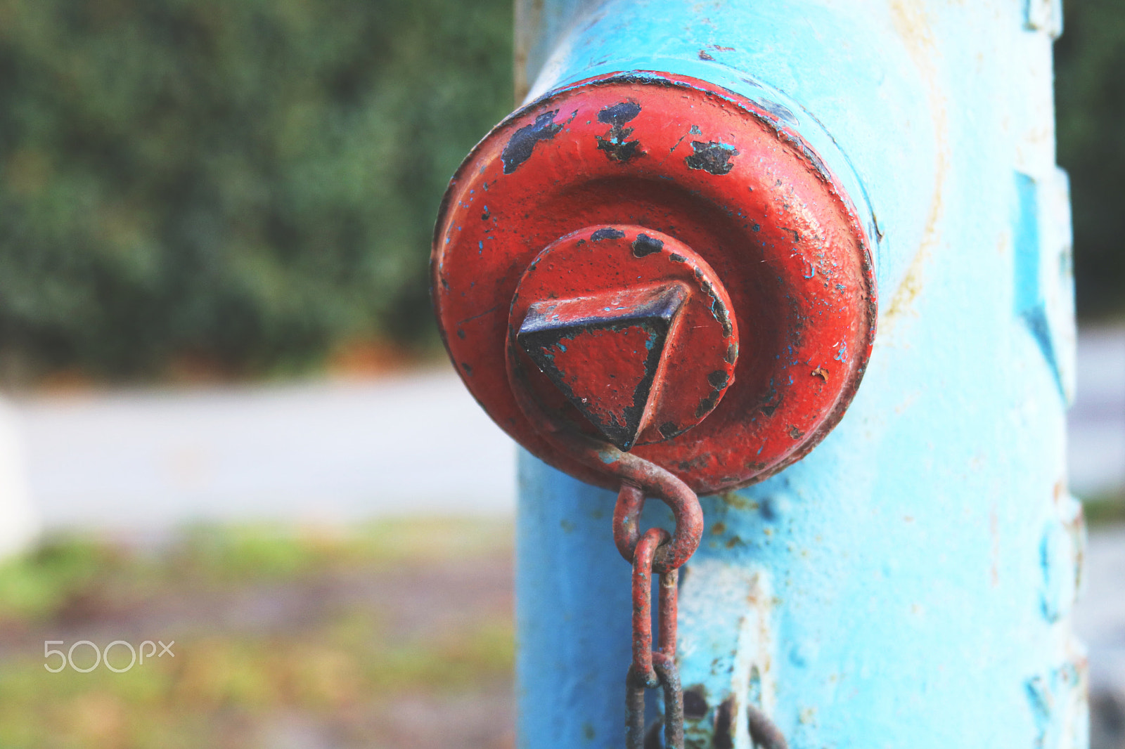 Canon EOS 760D (EOS Rebel T6s / EOS 8000D) sample photo. Rusty photography