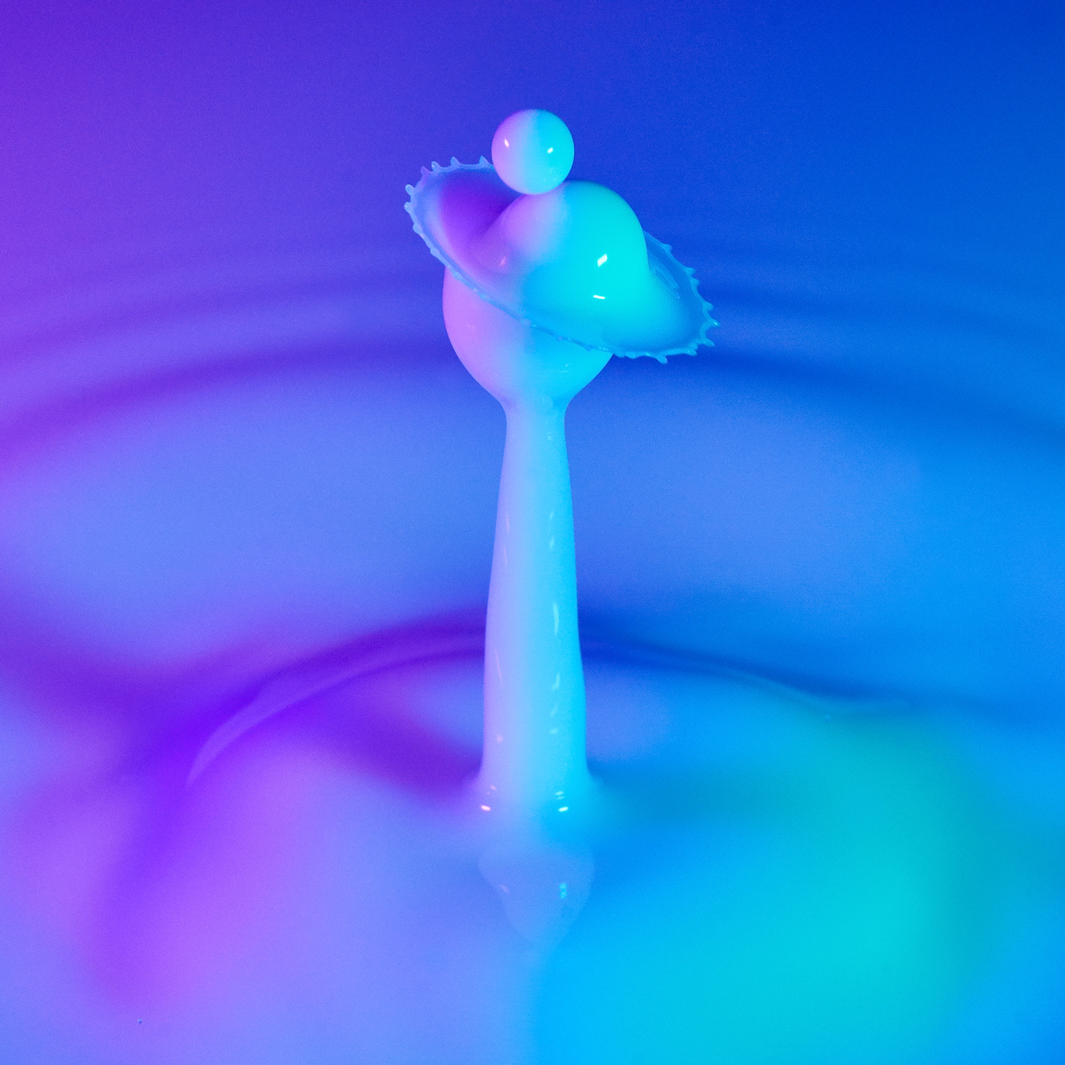 90mm F2.8 sample photo. Collide xiii photography