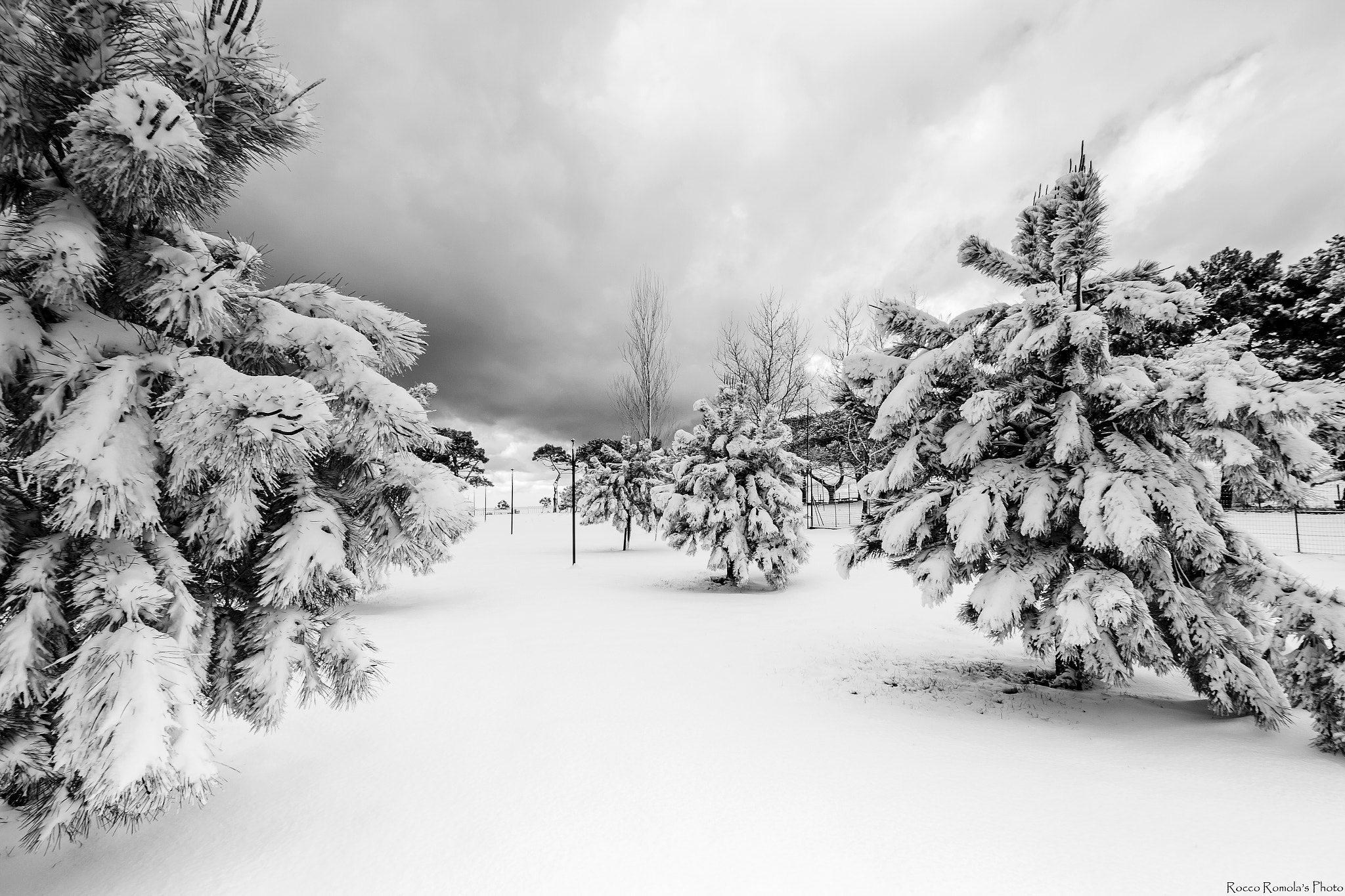 Canon EOS M sample photo. Black&snow photography