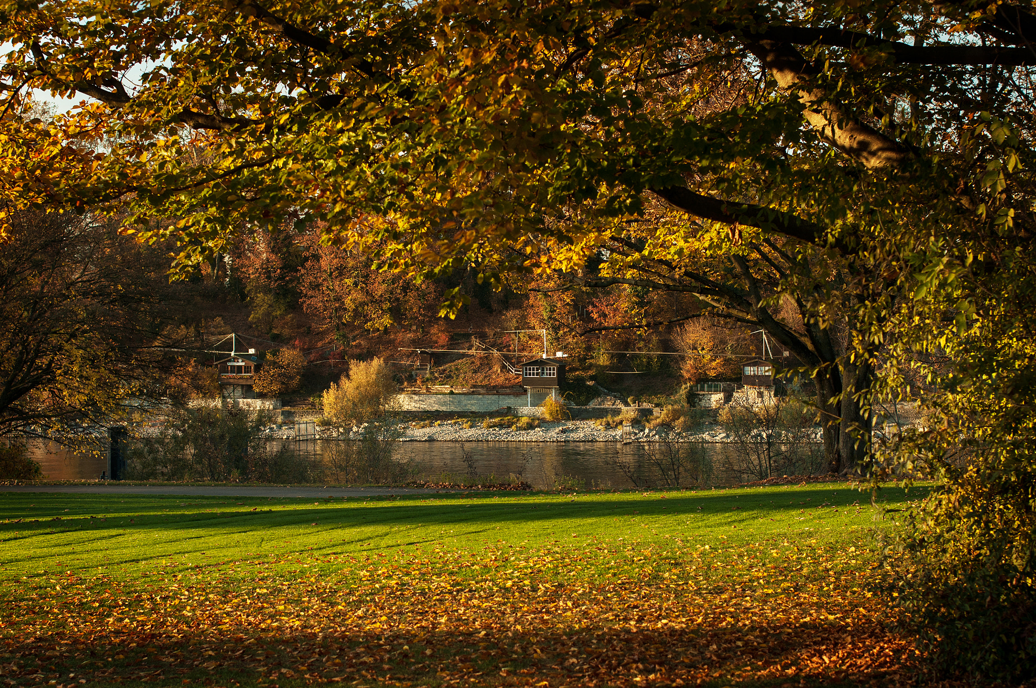 Nikon D300S + Sigma 50mm F1.4 EX DG HSM sample photo. Indian summer photography