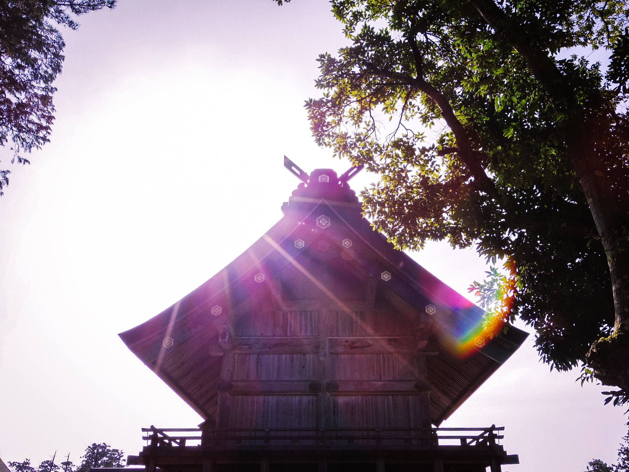 Pentax Q7 sample photo. Izumo taisha shrine photography