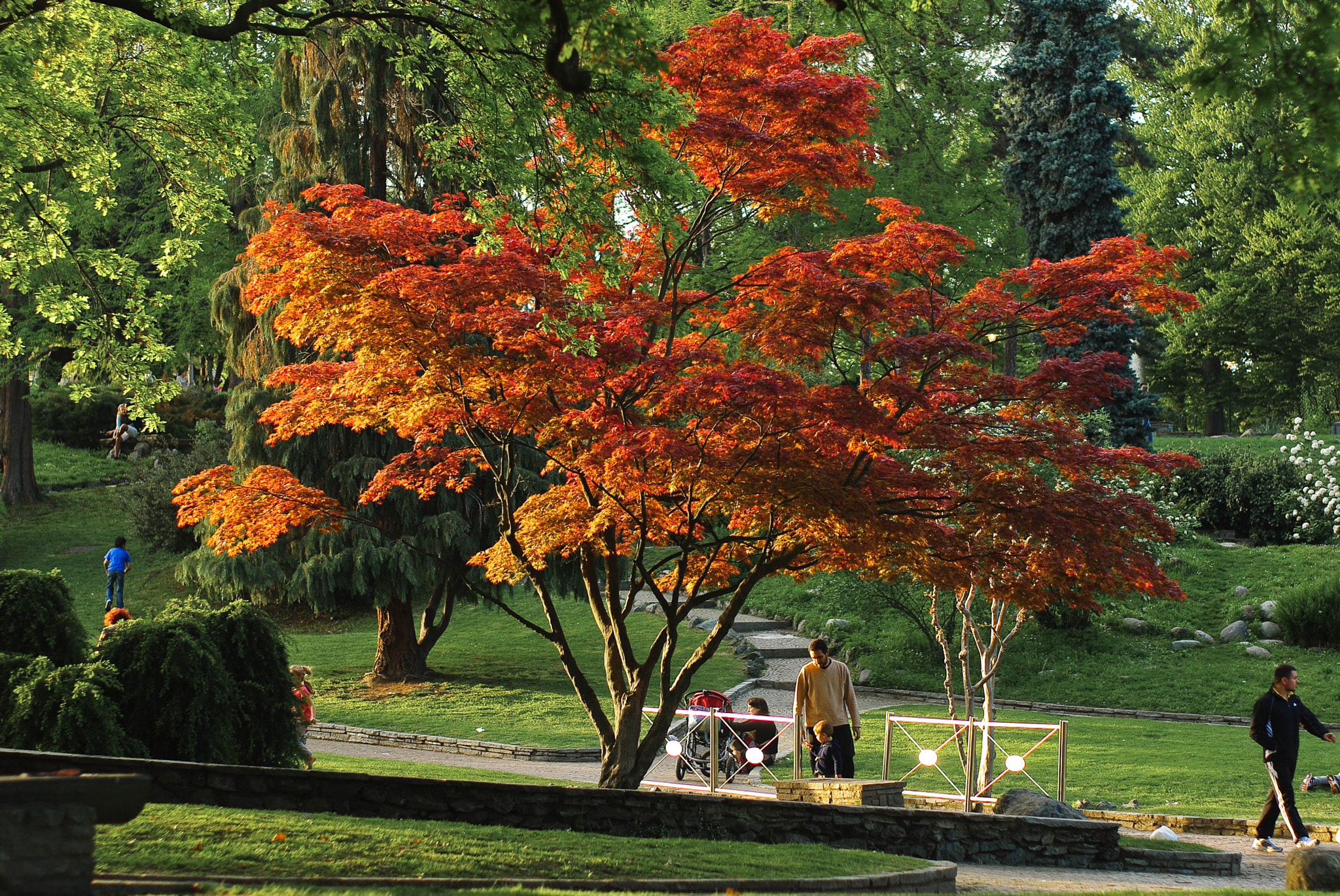 Pentax K200D sample photo. Parco del valentino - torino photography