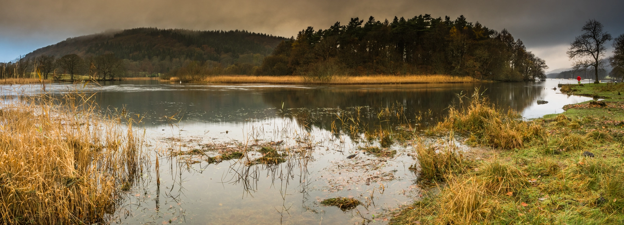 Olympus OM-D E-M5 II + OLYMPUS M.12mm F2.0 sample photo. Fell foot in november photography