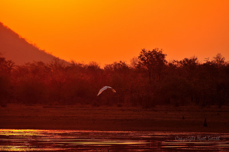 Sigma 120-300mm F2.8 EX DG HSM sample photo. Zambezi 2010 20101009_174630.jpg photography