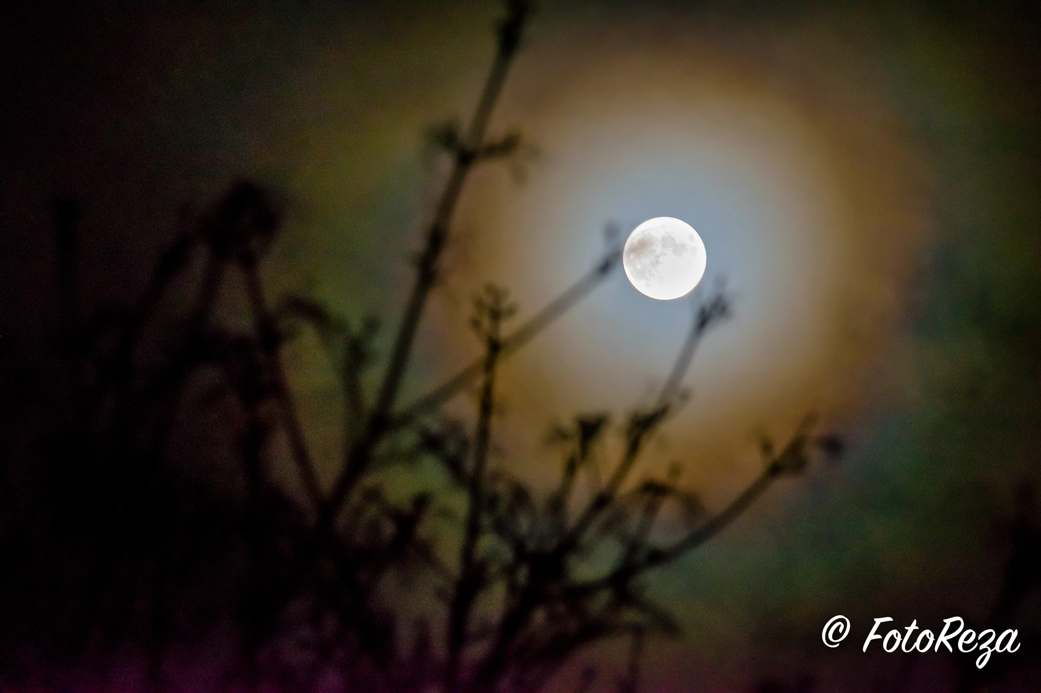 Sigma 70-200mm F2.8 EX DG OS HSM sample photo. Full moon photography