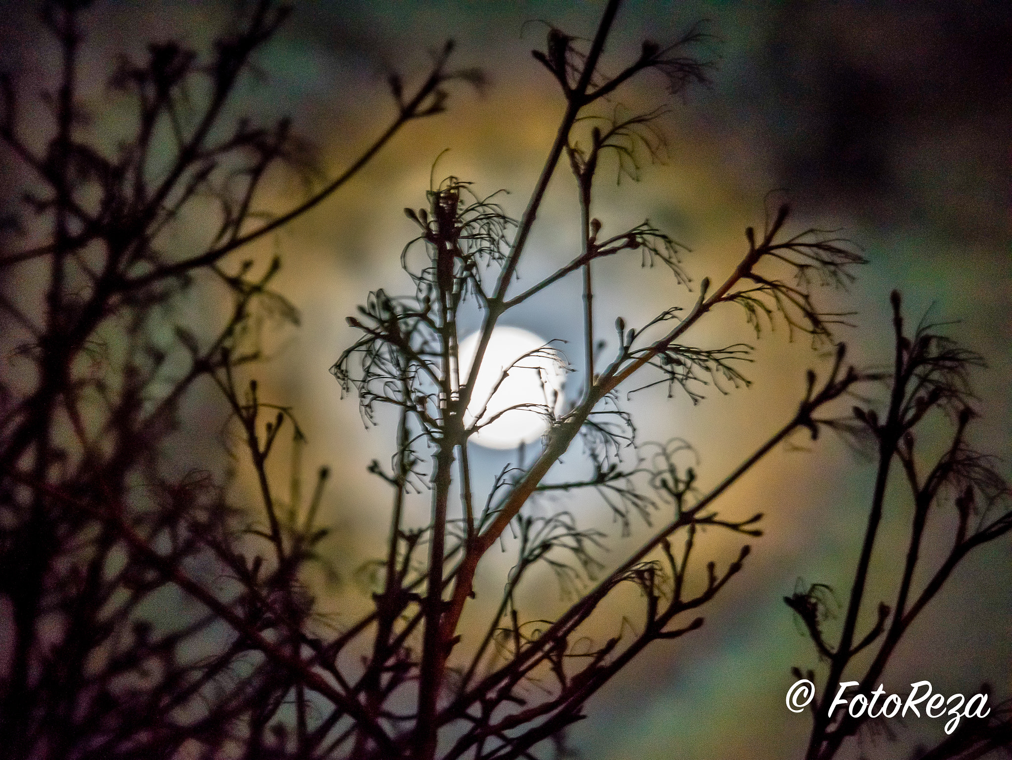 Sigma 70-200mm F2.8 EX DG OS HSM sample photo. Full moon photography