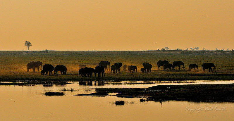 Sigma 120-300mm F2.8 EX DG HSM sample photo. Botswana 2011_20110915_170146.jpg photography