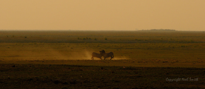 Sigma 120-300mm F2.8 EX DG HSM sample photo. Botswana 2011_20110915_171322.jpg photography