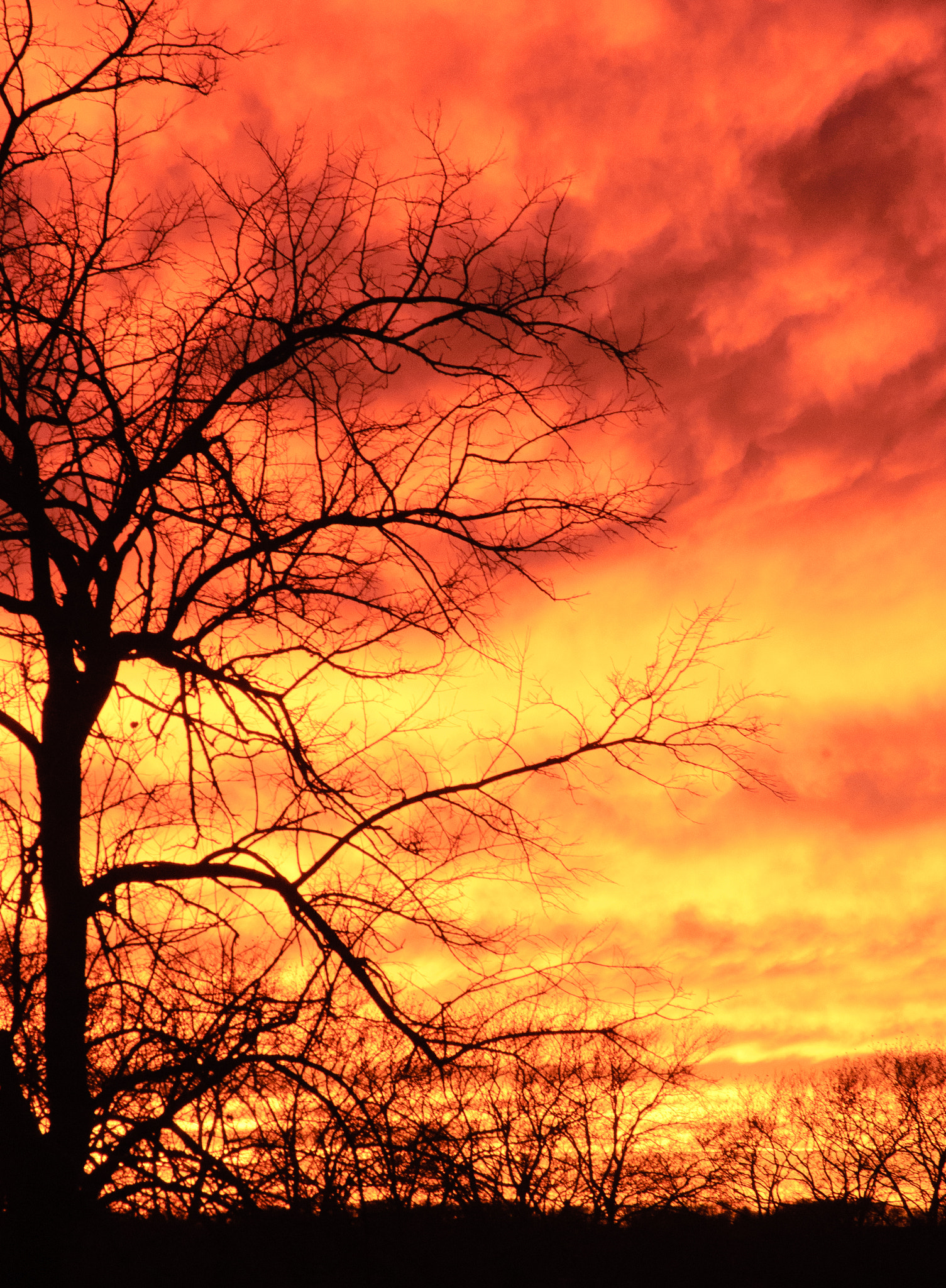 Nikon D50 sample photo. Just a sunset, no big deal photography