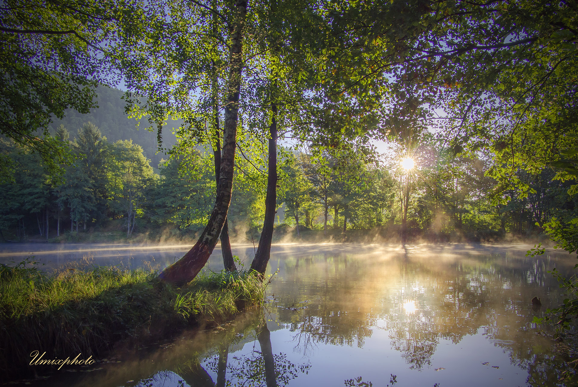 Olympus OM-D E-M5 sample photo. Misty morning photography
