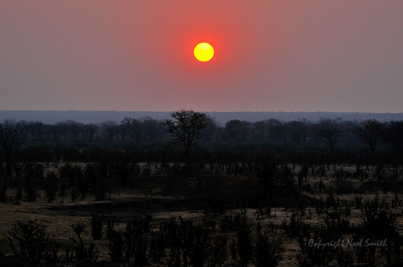 Sigma 120-300mm F2.8 EX DG HSM sample photo. Hwange zimbabwe _20130902_175627.jpg photography