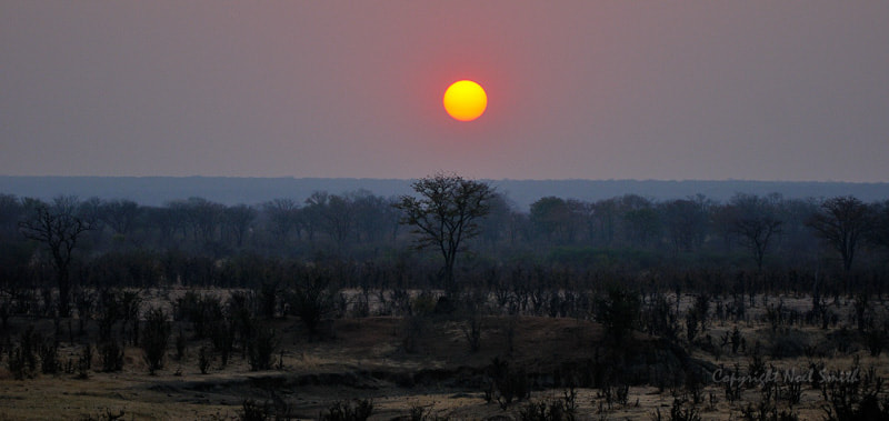 Sigma 120-300mm F2.8 EX DG HSM sample photo. Hwange zimbabwe _20130902_175914.jpg photography