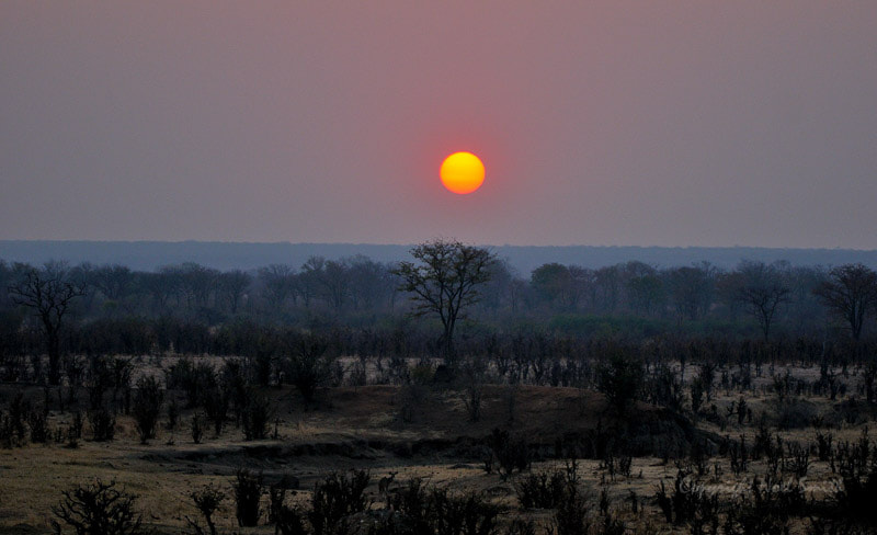 Sigma 120-300mm F2.8 EX DG HSM sample photo. Hwange zimbabwe _20130902_175940.jpg photography