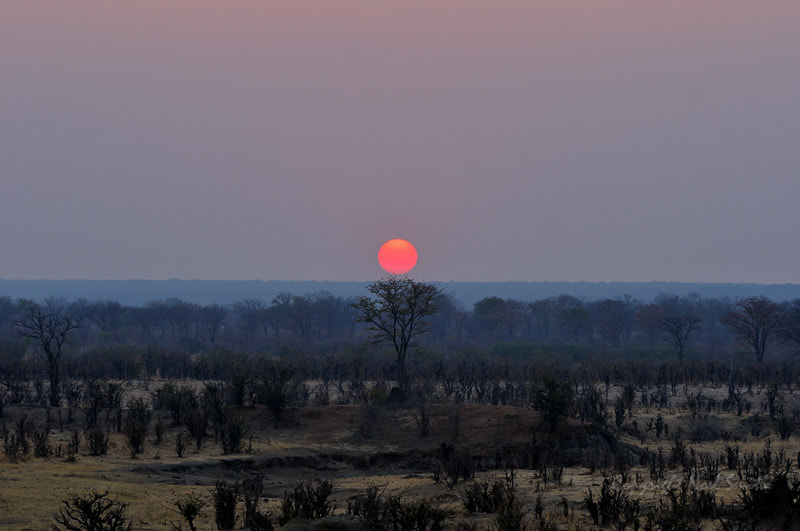 Sigma 120-300mm F2.8 EX DG HSM sample photo. Hwange zimbabwe _20130902_180209.jpg photography