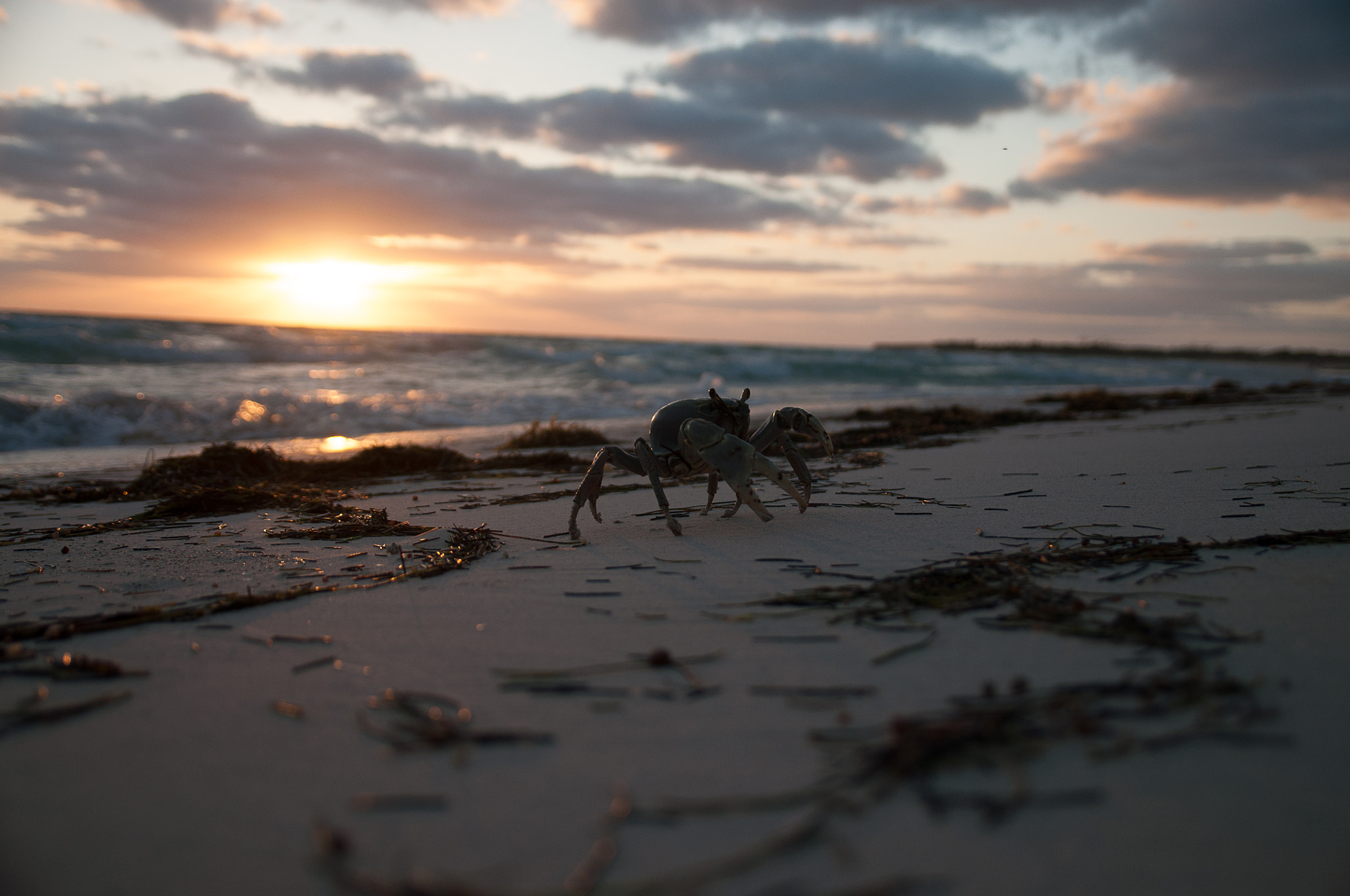 Sigma 17-70mm F2.8-4 DC Macro OS HSM sample photo. Cuba photography