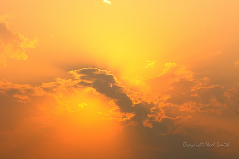 Sigma 120-300mm F2.8 EX DG HSM sample photo. Hwange 2015_20151015_173548.jpg photography