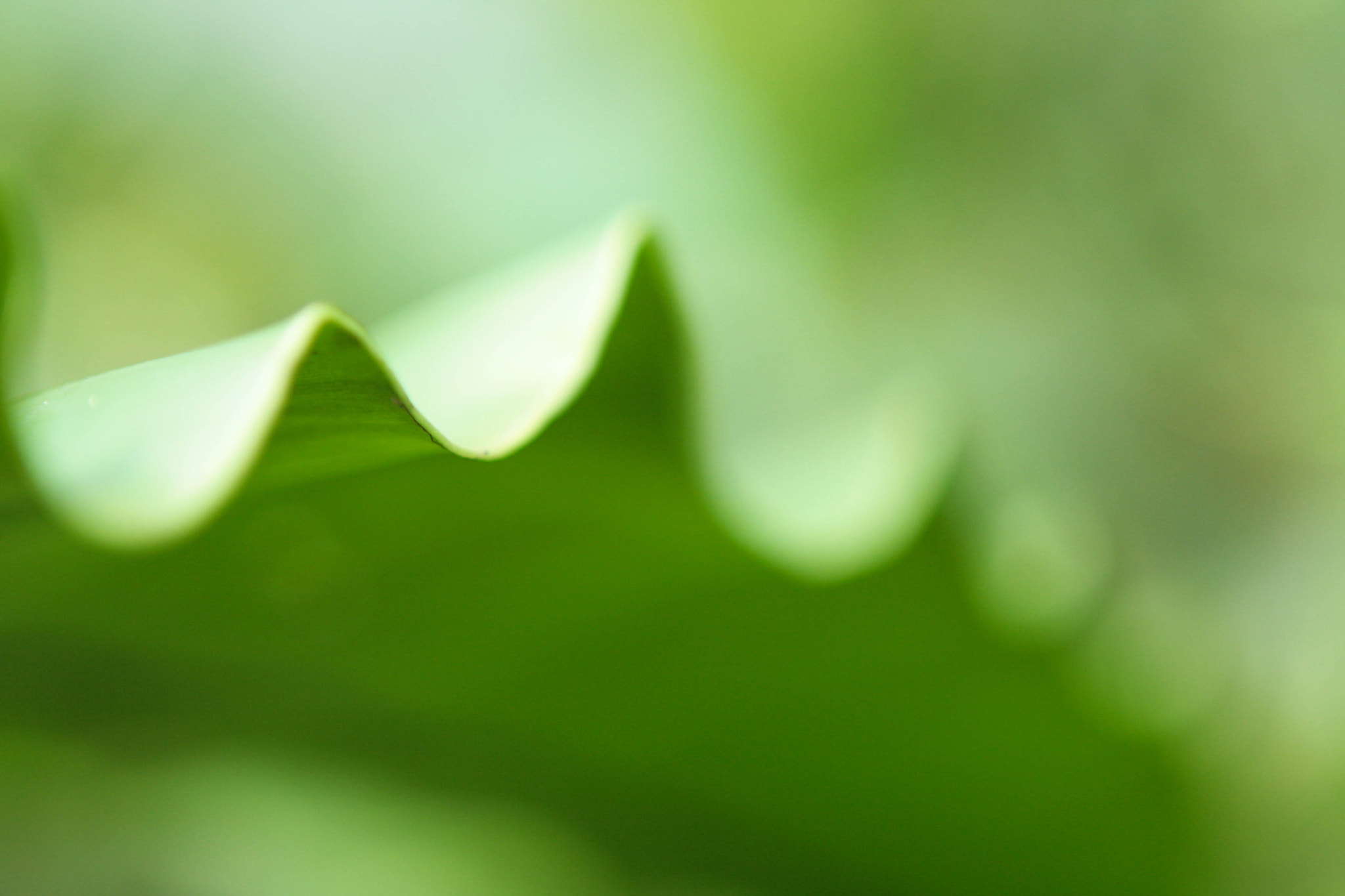 Canon EF 24-70mm F2.8L USM sample photo. Ripples photography