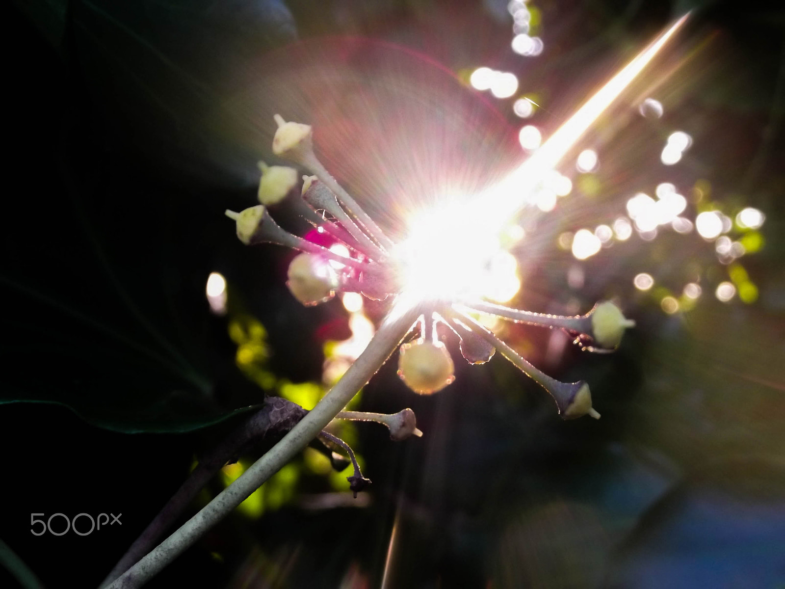 FujiFilm FinePix T200 (FinePix T205) sample photo. Shiny photography