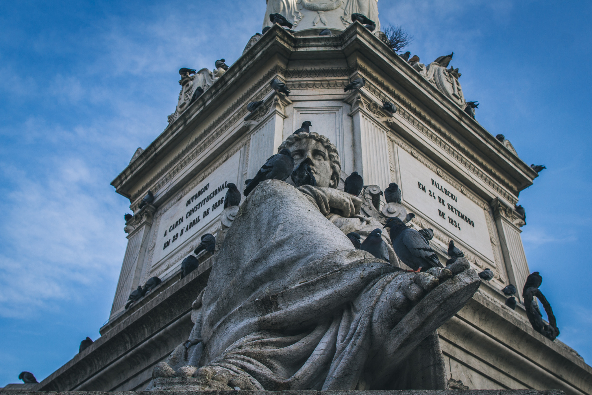 Canon EF 24mm F1.4L II USM sample photo. Pigeons photography