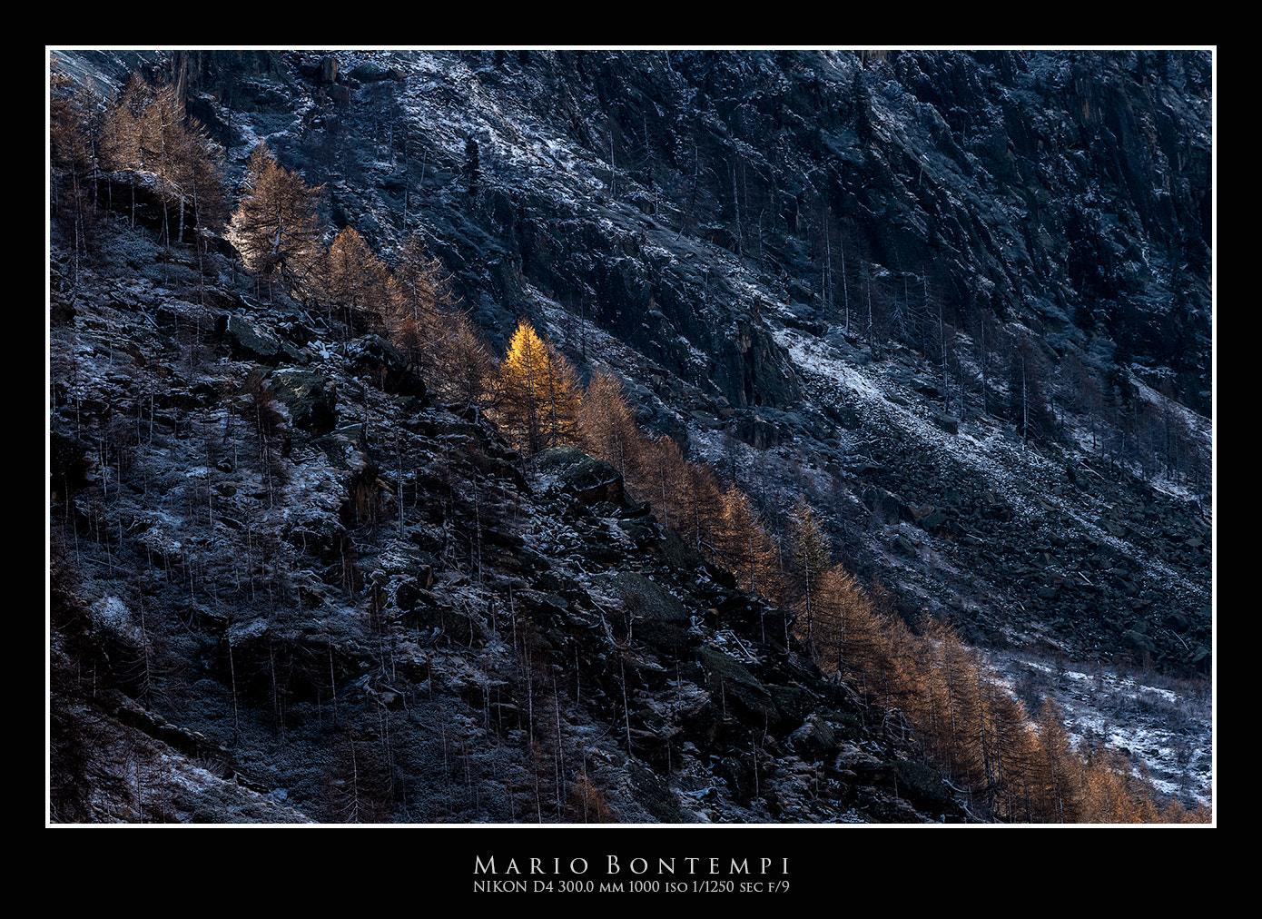 Nikon D4 + Nikon AF-S Nikkor 300mm F4D ED-IF sample photo. Valnontey photography
