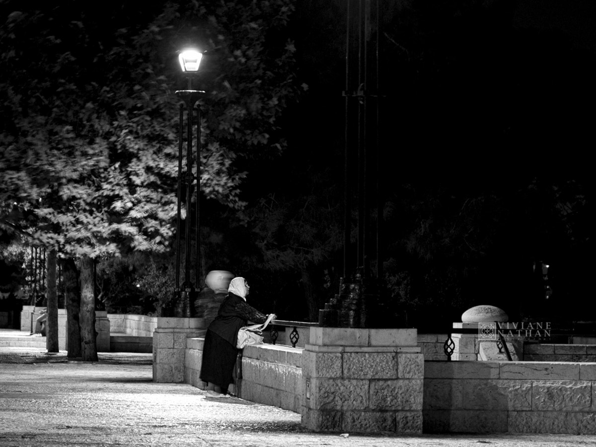 Canon EOS 550D (EOS Rebel T2i / EOS Kiss X4) sample photo. East talpiot photography