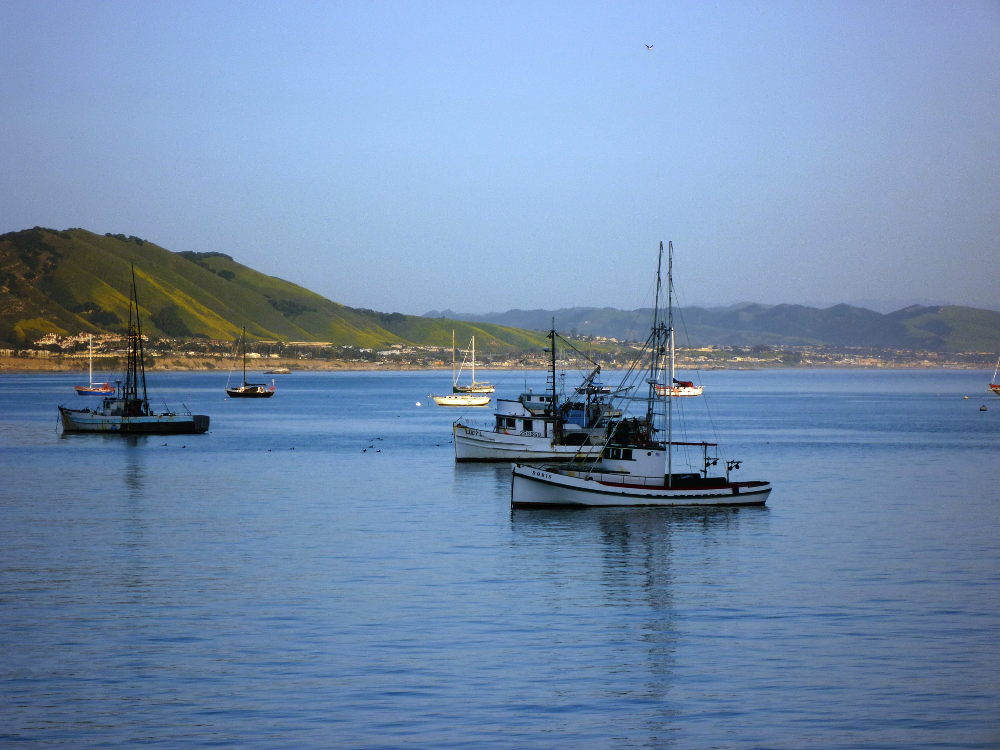 Panasonic DMC-FS15 sample photo. Pismo beach, ca photography