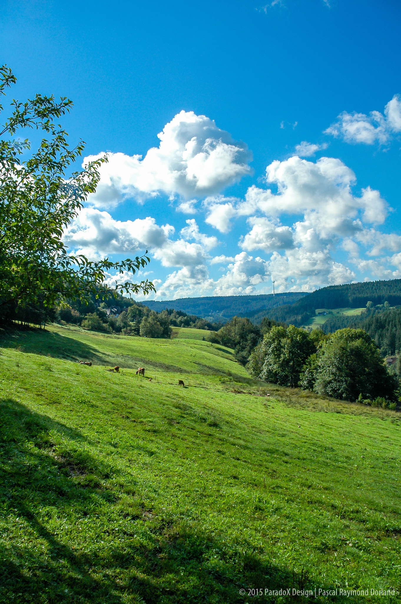 Nikon D70 + Sigma 18-125mm F3.8-5.6 DC HSM sample photo. A view of the valley.. photography