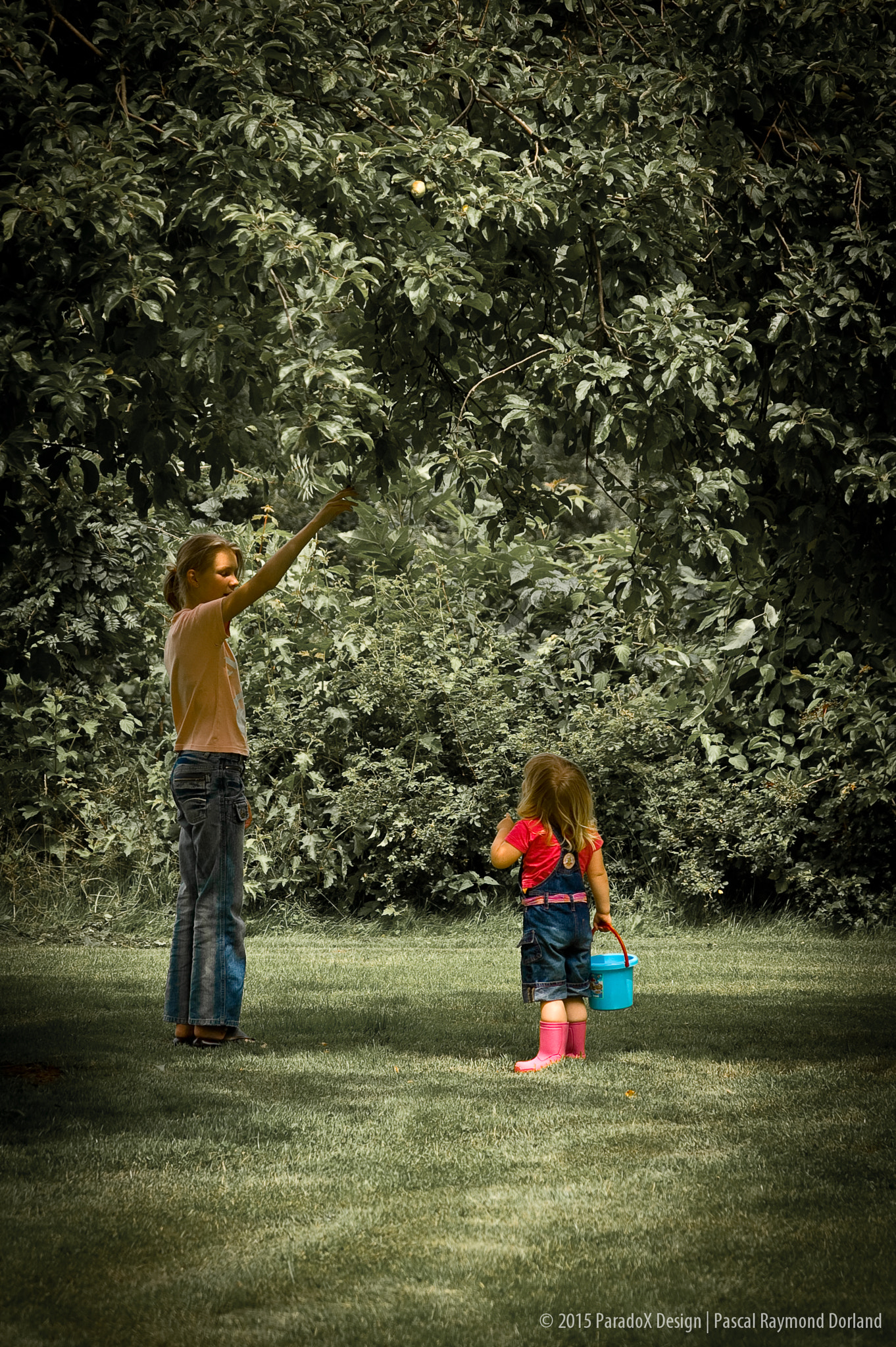 Nikon D70 + Sigma 18-125mm F3.8-5.6 DC HSM sample photo. Two friends in an orchard.. photography