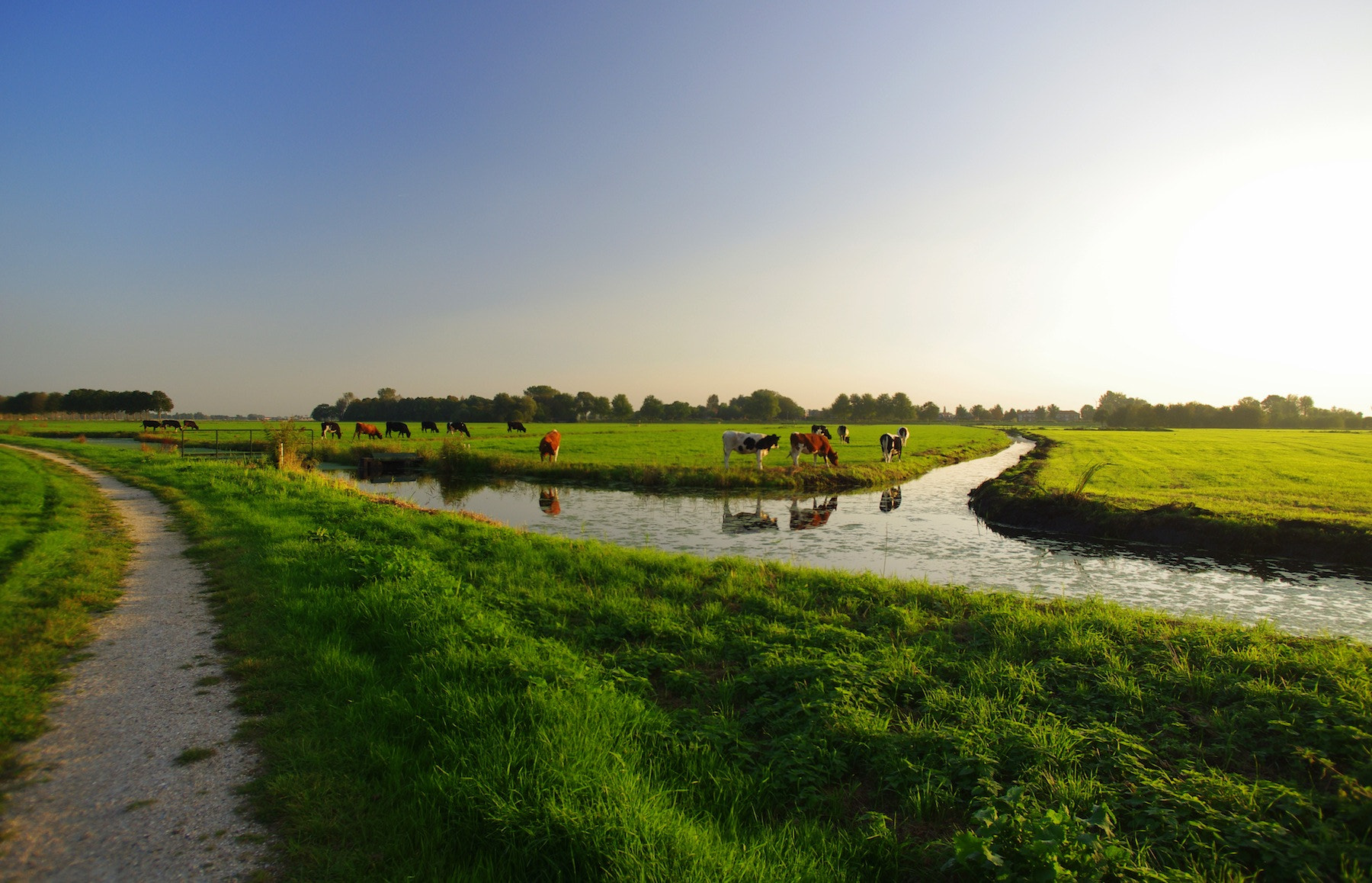 Pentax smc DA 14mm F2.8 ED (IF) sample photo. Really. this is amsterdam :))) photography