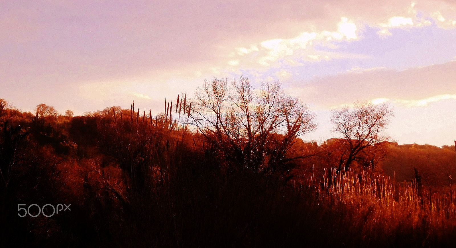 Fujifilm FinePix JZ100 sample photo. The imaginary . photography