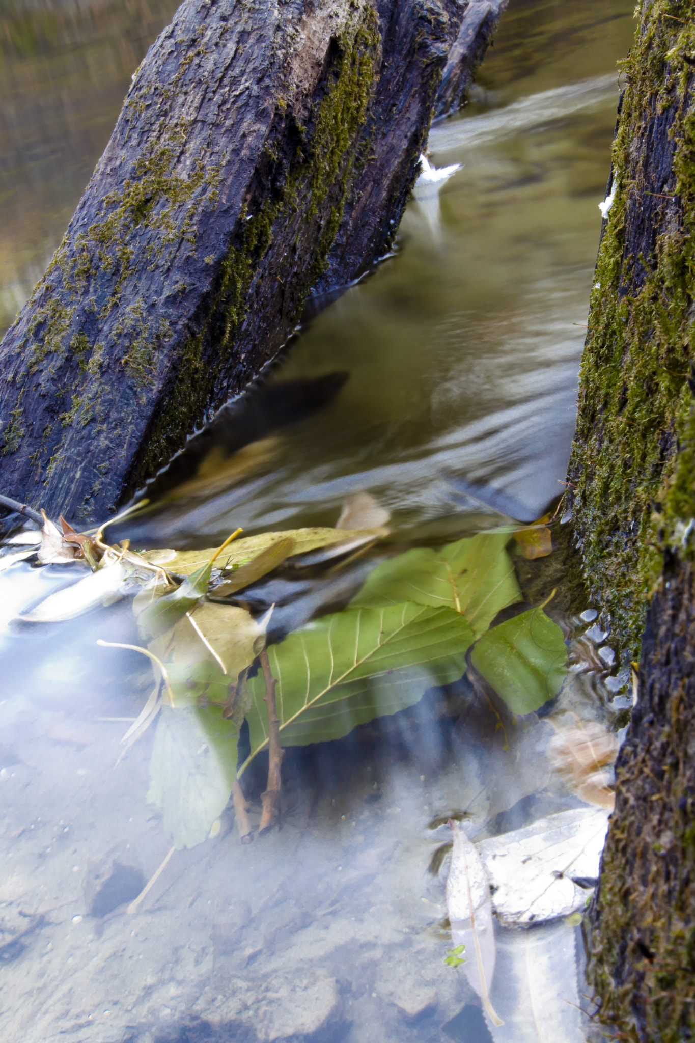 Sigma 18-35mm f/1.8 DC HSM sample photo. Psel 2 photography