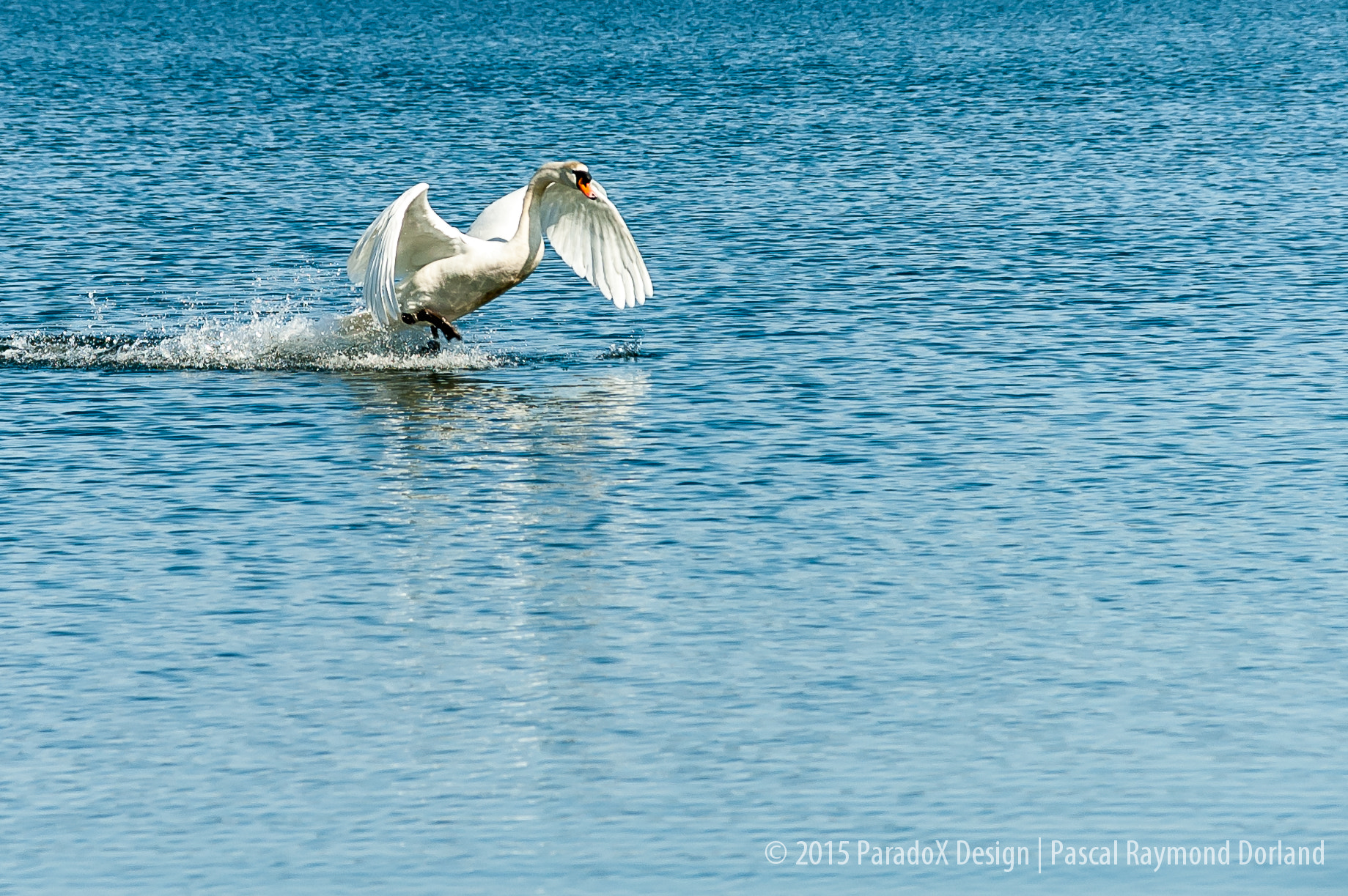 Nikon D70 + Sigma 18-125mm F3.8-5.6 DC HSM sample photo. Airbreaks are on..! photography