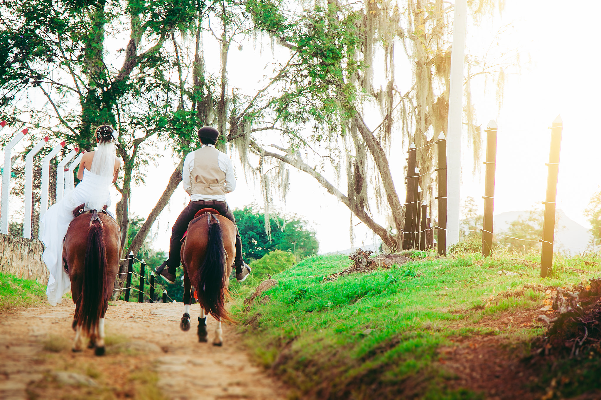 Canon EF-S 18-135mm F3.5-5.6 IS STM sample photo. Horses in wedding photography
