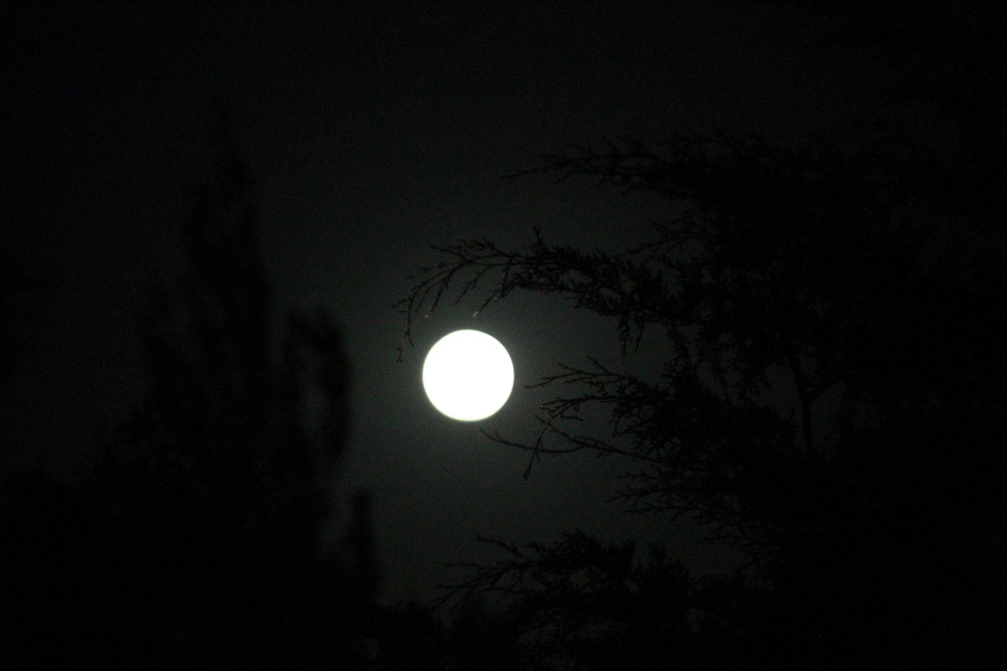 Sigma 18-200mm f/3.5-6.3 DC OS sample photo. Noches llenas photography
