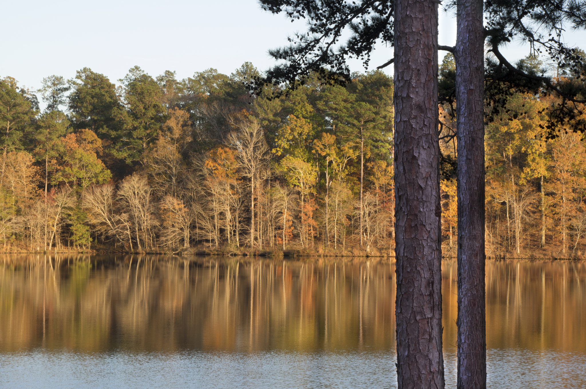 Pentax K-3 sample photo. Reflections of home photography
