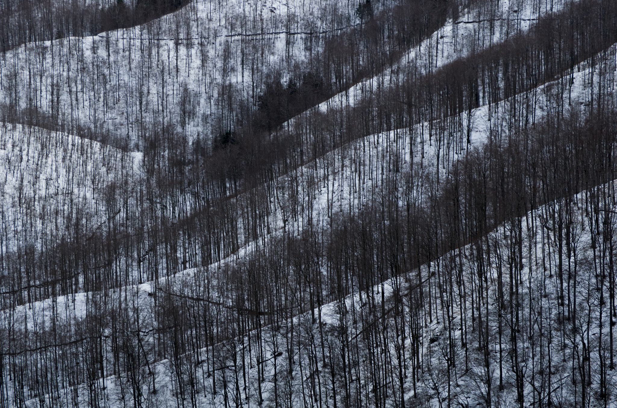 Pentax smc DA 17-70mm F4.0 AL (IF) SDM sample photo. Winter on the mountain povlen photography