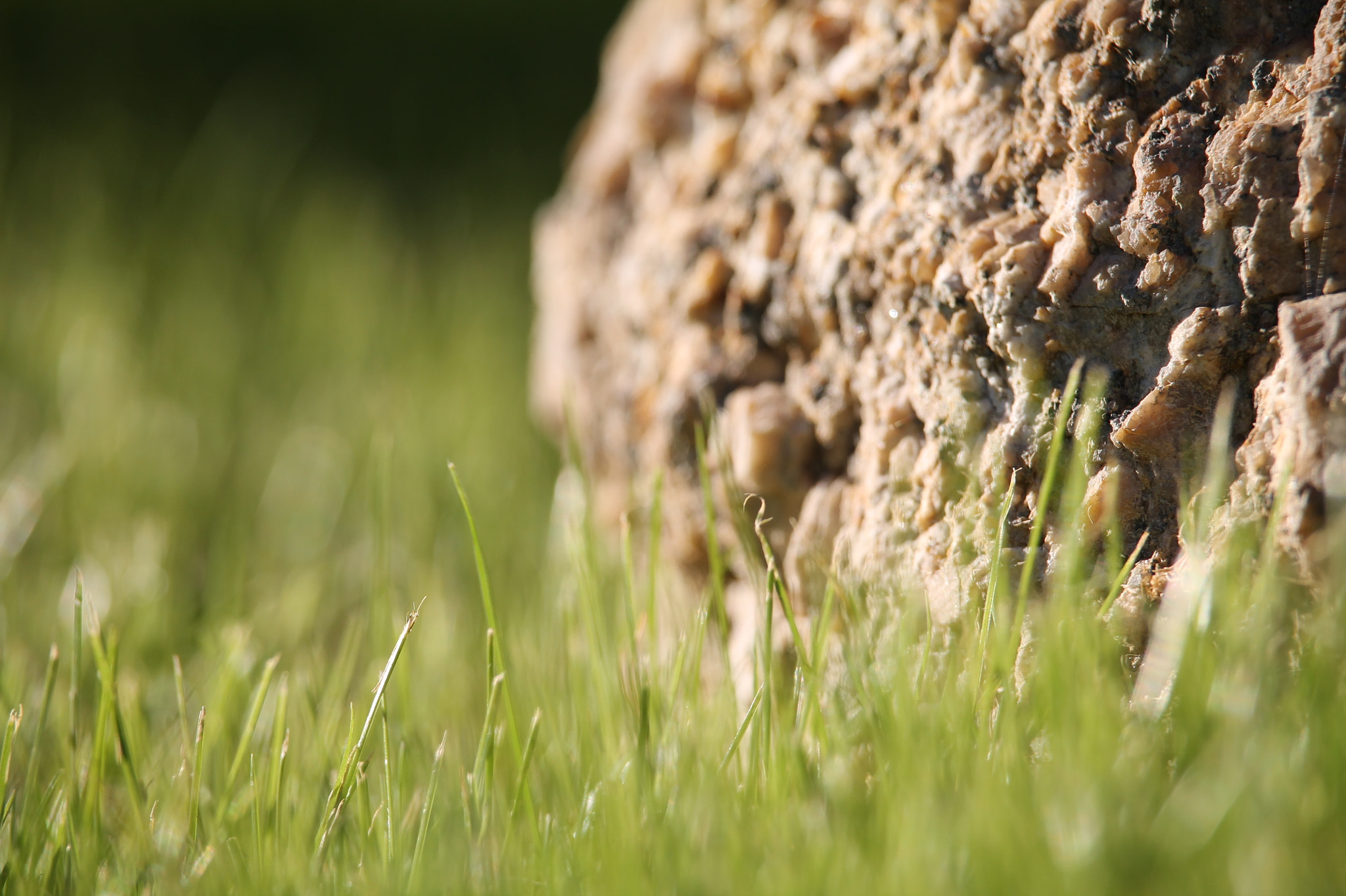 Canon EF-S 55-250mm F4-5.6 IS STM sample photo. 23144638291.jpg photography