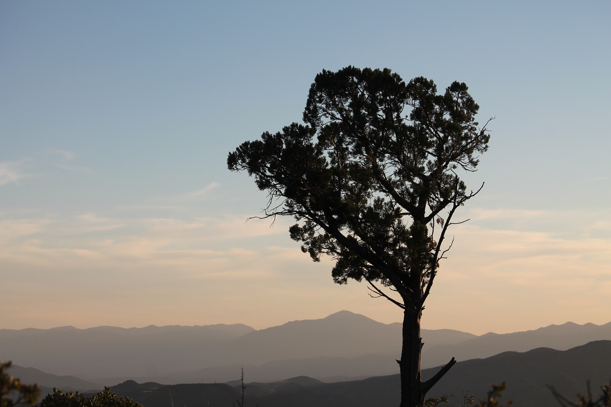 Canon EF-S 55-250mm F4-5.6 IS STM sample photo. 22740712729.jpg photography