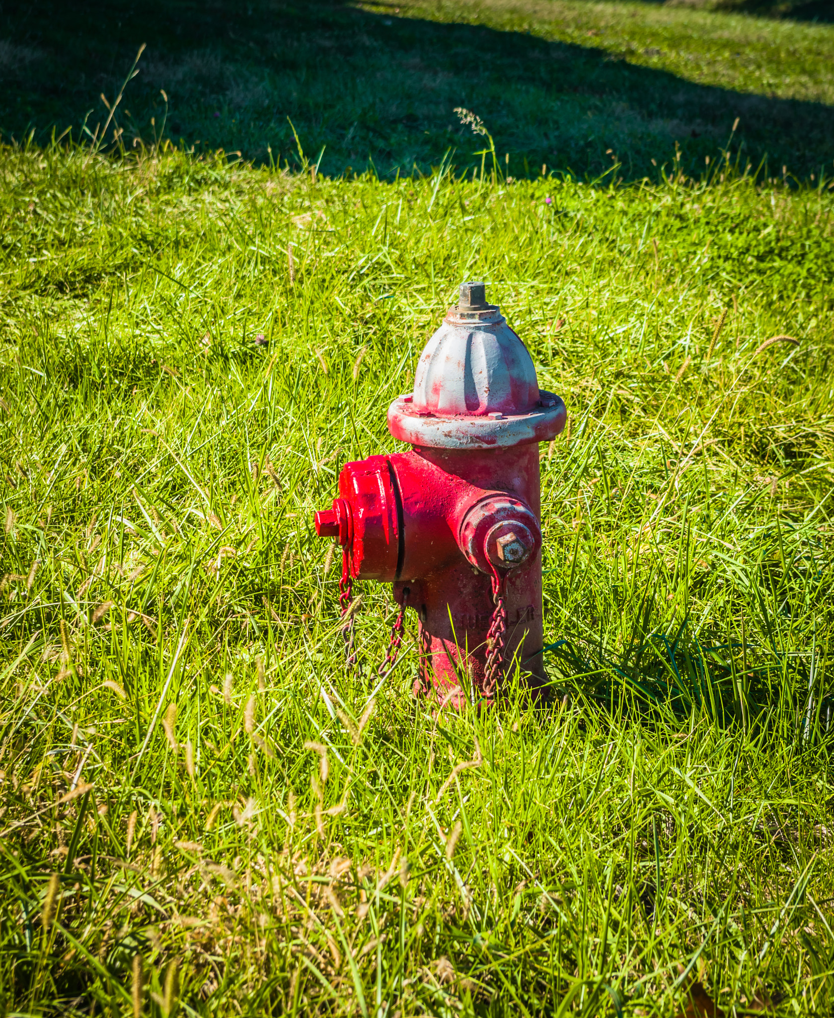 smc PENTAX-DA L 18-55mm F3.5-5.6 sample photo. Red hydrant photography