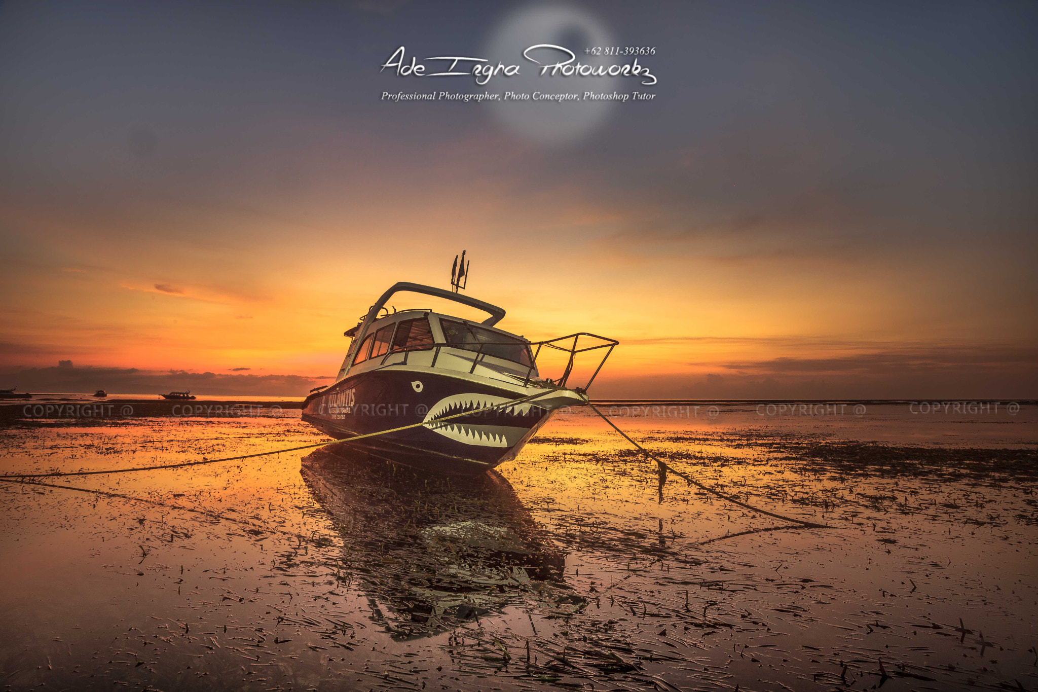 Canon EF 24-85mm F3.5-4.5 USM sample photo. The shark boat photography
