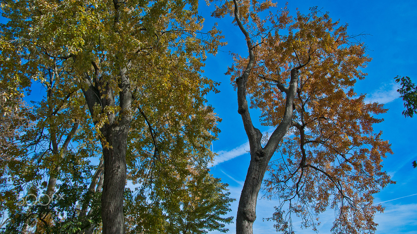 Sony Alpha DSLR-A330 sample photo. Blue sky photography