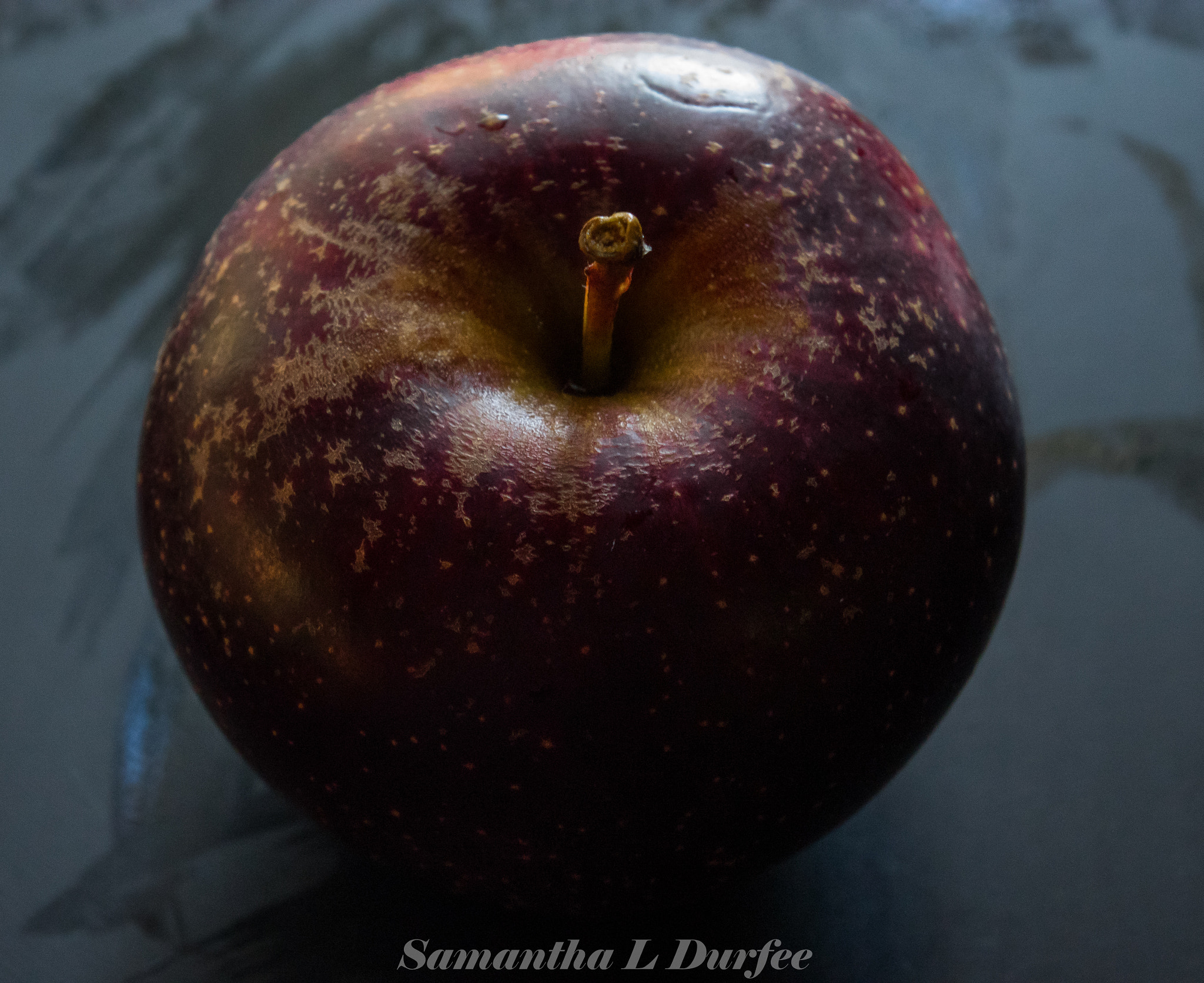 Pentax K-3 sample photo. Black oxford photography