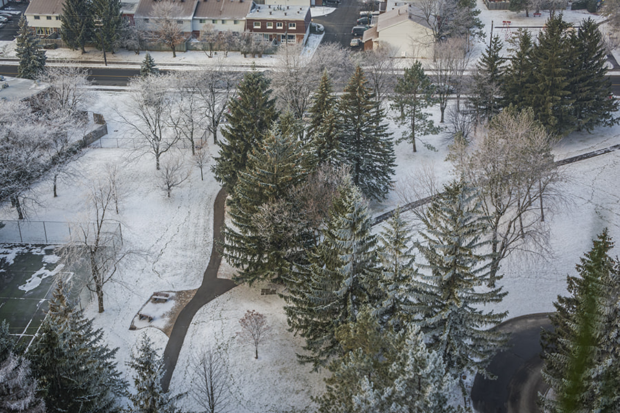 Sigma 18-250mm F3.5-6.3 DC OS HSM sample photo. Winter is coming... photography