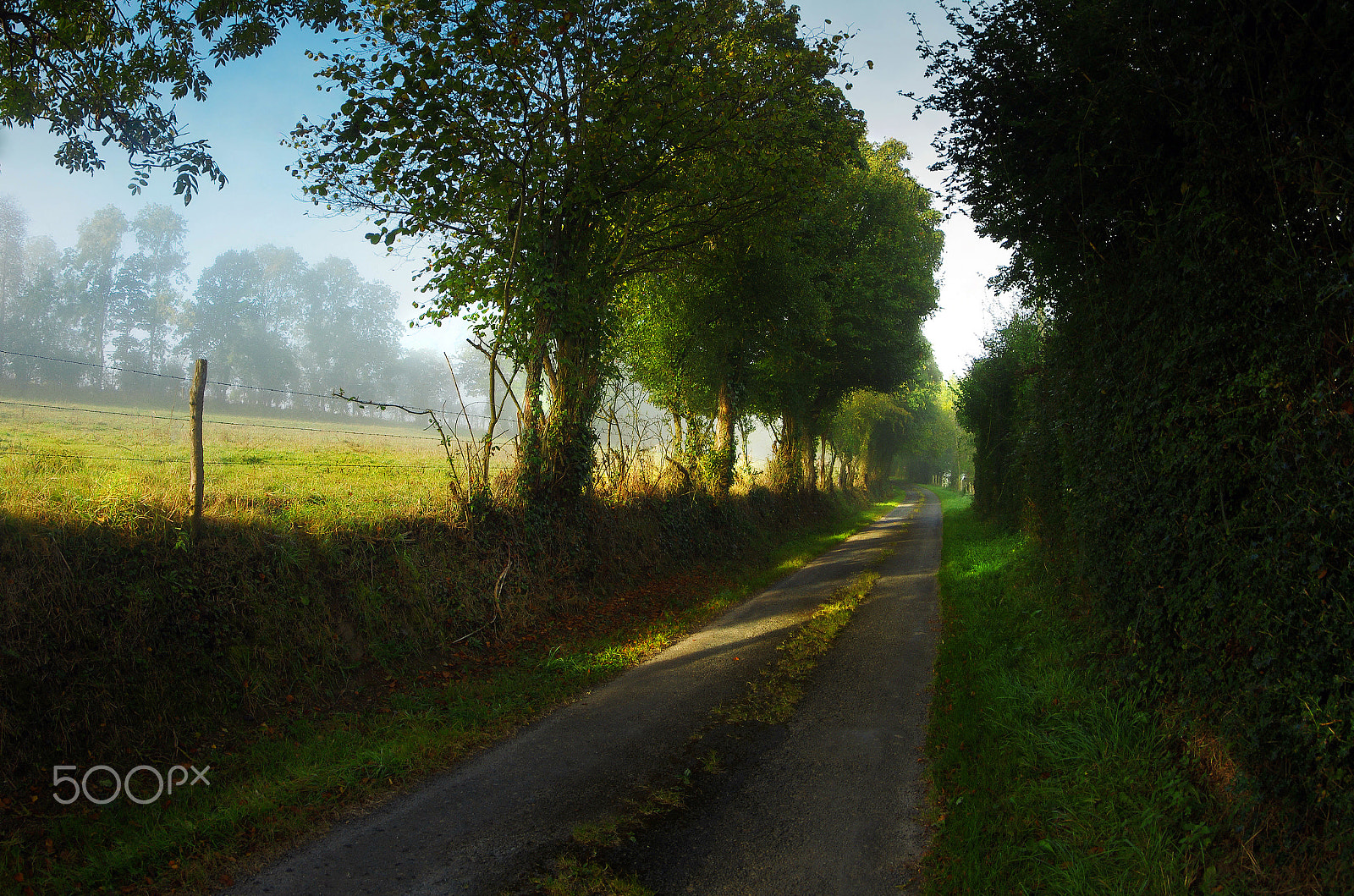 Pentax K-5 sample photo. Martigny-sur-l'ante, france photography