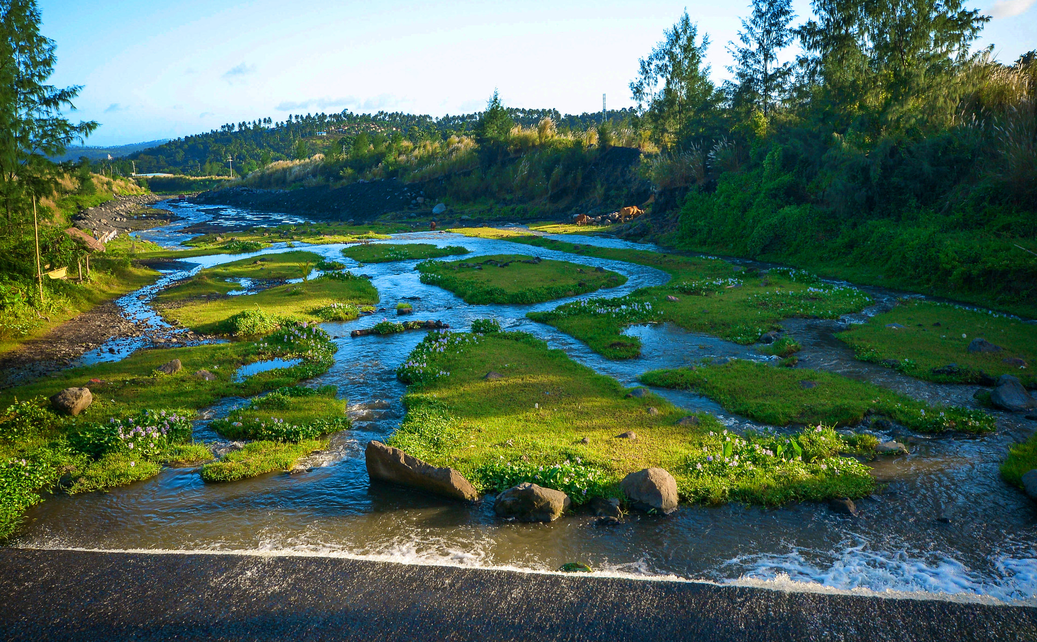 Sigma 10-20mm F4-5.6 EX DC HSM sample photo. Refreshing stream photography